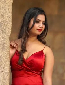 call girl service in Tondiarpet